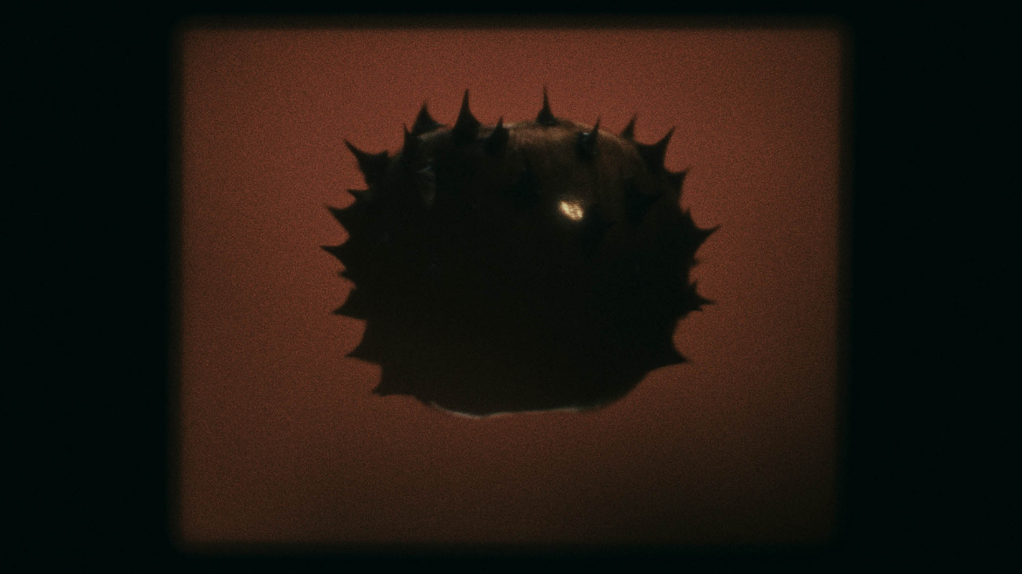 Impactist PARTICIPANT Still Frame 25